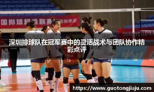 完美体育平台